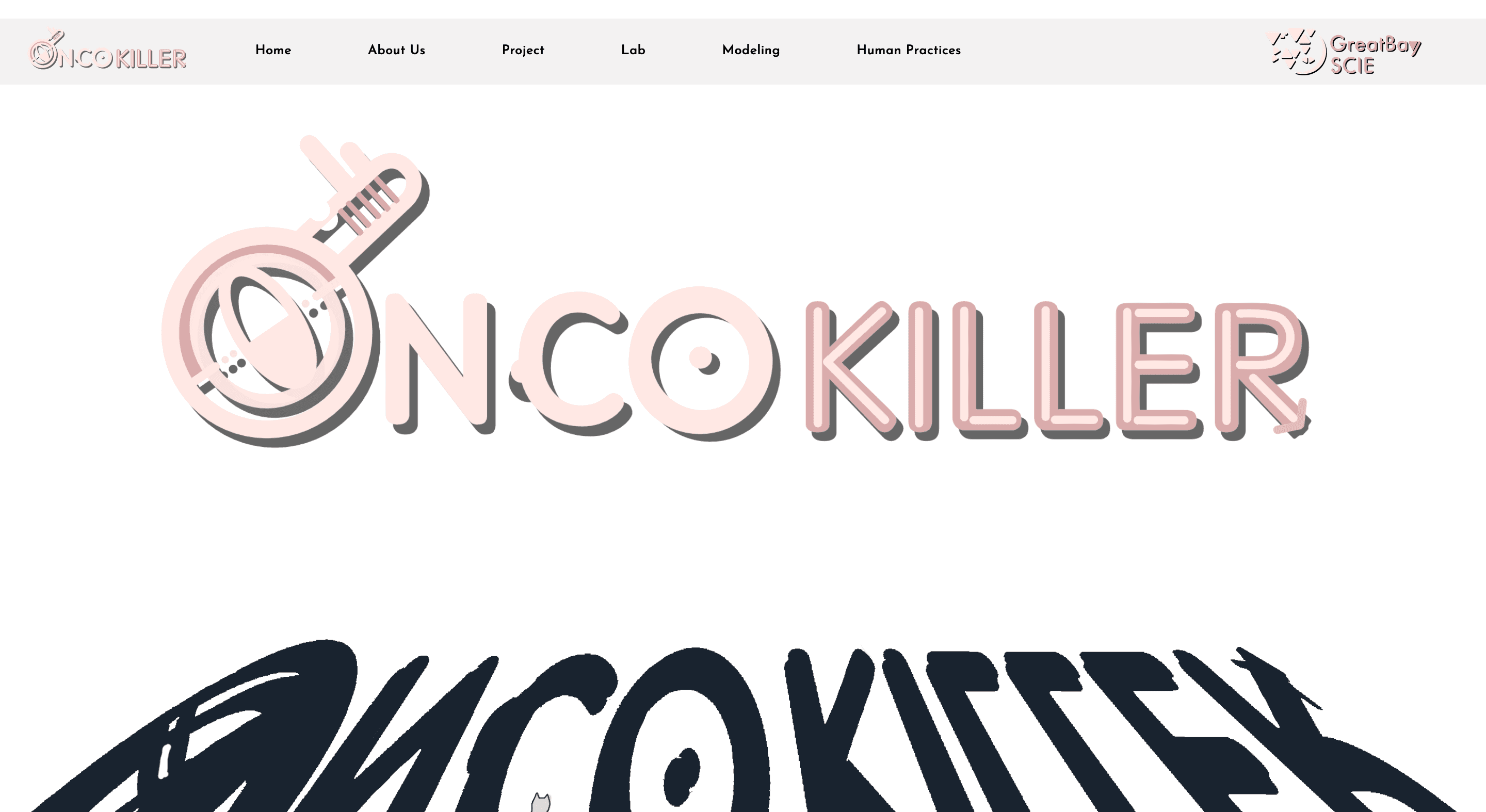IcoKiller